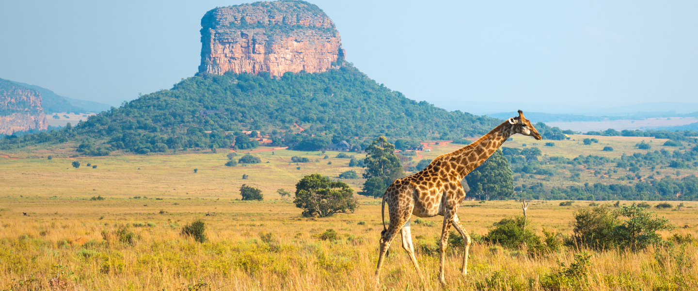 Südafrika, Botswana und Mosambik ComfortPlus
